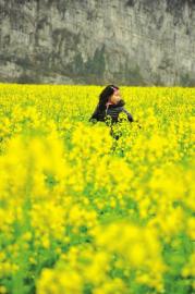 春风如忽来&nbsp;川南百花开　各地赏花节竞相来