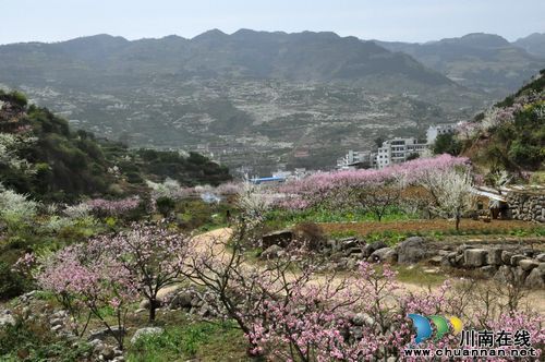 泸州叙永:春暖花开季&nbsp;旅游踏青时