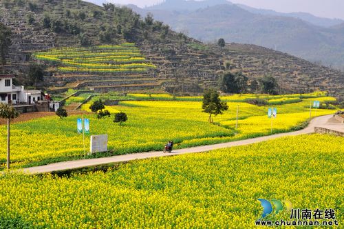 泸州叙永:春暖花开季 旅游踏青时(图4) 泸州叙永:春暖花开季 旅游踏青时(图4)