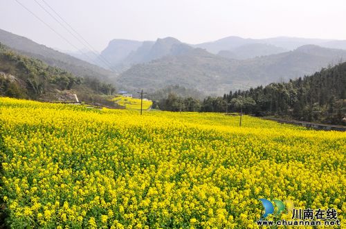 泸州叙永:春暖花开季 旅游踏青时(图3) 泸州叙永:春暖花开季 旅游踏青时(图3)