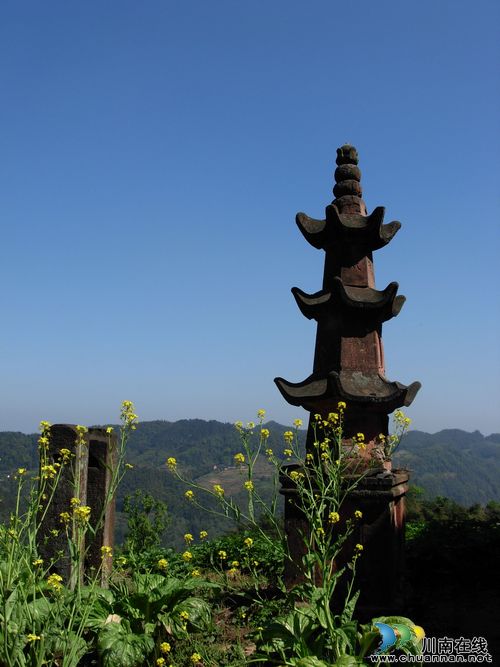 泸州叙永:春暖花开季 旅游踏青时(图7) 泸州叙永:春暖花开季 旅游踏青时(图7)