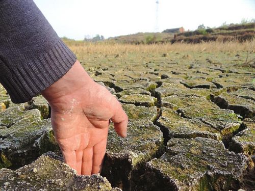 内江连旱97天土地裂开手掌宽&nbsp;破历年同期记录