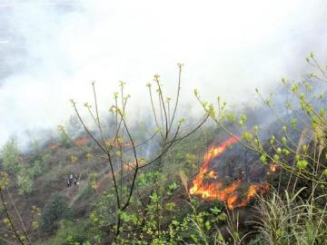 高县：火烧两片山&nbsp;砍树除草设置隔离带(图2)