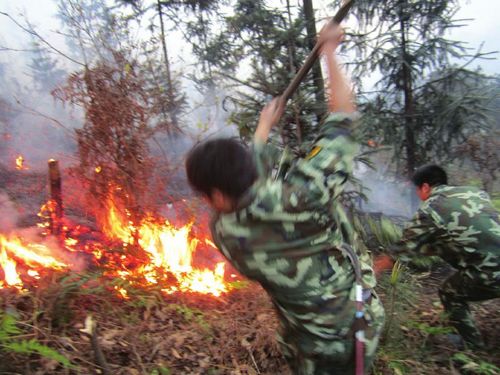 宜宾高县发生山火蔓延两片山&nbsp;连烧10余小时