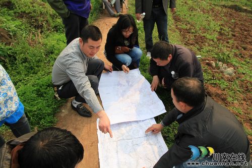 尧坝镇：乡村湿地公园项目全面启动