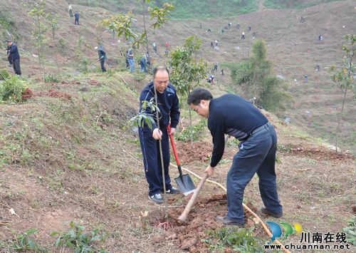 四川省长江造林局为云锦山再添一抹靓色(图1) 四川省长江造林局为云锦山再添一抹靓色(图1)