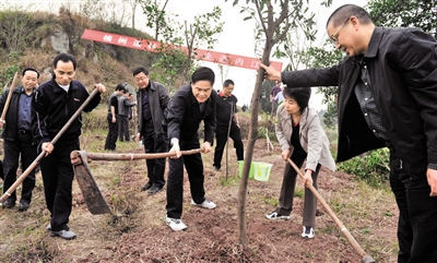 为“美丽内江”增绿添彩