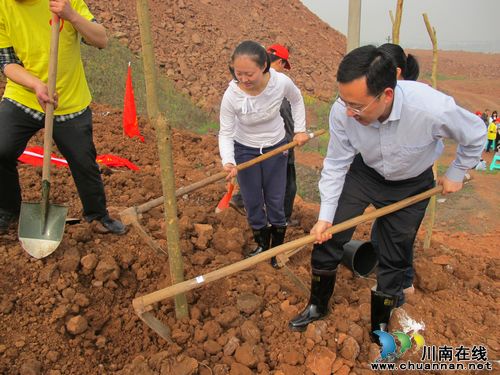 泰安镇：为酒城添新绿&nbsp;青年志愿者齐行动