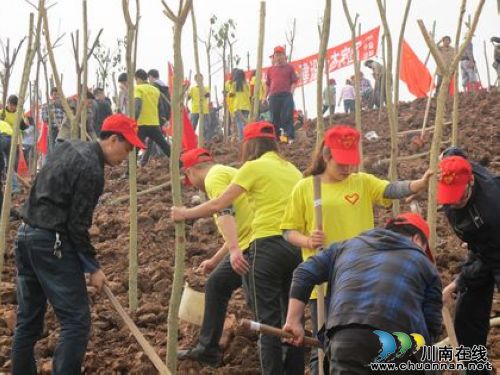 泰安镇：为酒城添新绿&nbsp;青年志愿者齐行动(图1)