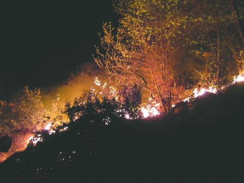高县一周两发山火
