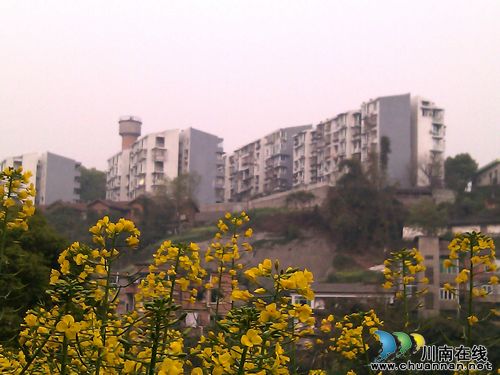 宜宾川安公司大力推进棚户区改造