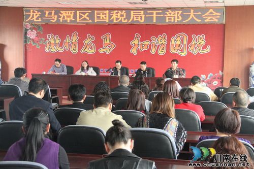 泸州市国税局副局长王世杰对龙马潭国税局提出“四个进一步”工作要求(图1)