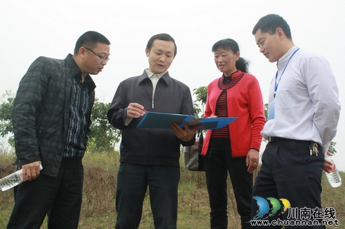 省林业厅工程师到海潮镇进行退耕还林阶段性验收工作