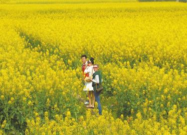 春三月逐花游&nbsp;四川各地花节汇总(图2)