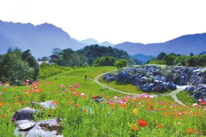 春三月逐花游&nbsp;四川各地花节汇总(图3)