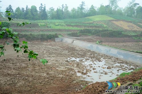 泸州：春雨降叙永&nbsp;农民抢春播(图1)