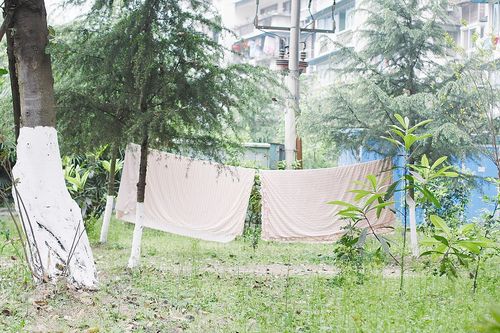 小区居民圈地喂鸡　不能只图自己方便
