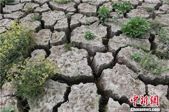 四川泸州遭遇旱情造成春耕生产困难(图1) 四川泸州遭遇旱情造成春耕生产困难(图1)