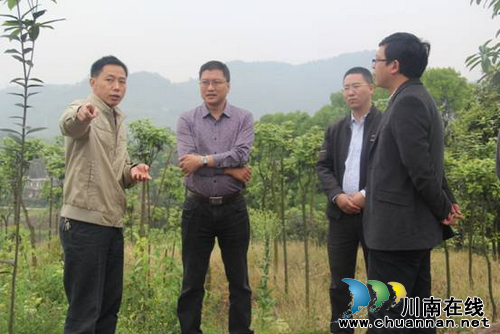 白节镇:与龙车镇经验交流促发展(图1) 白节镇:与龙车镇经验交流促发展(图1)