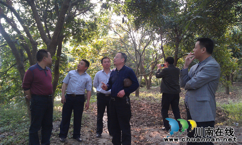 太伏镇:关注专合社建设 还利于农(图1) 太伏镇:关注专合社建设 还利于农(图1)