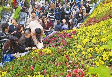 花葬、草葬…生态葬在川逐渐兴起(图1) 花葬、草葬…生态葬在川逐渐兴起(图1)