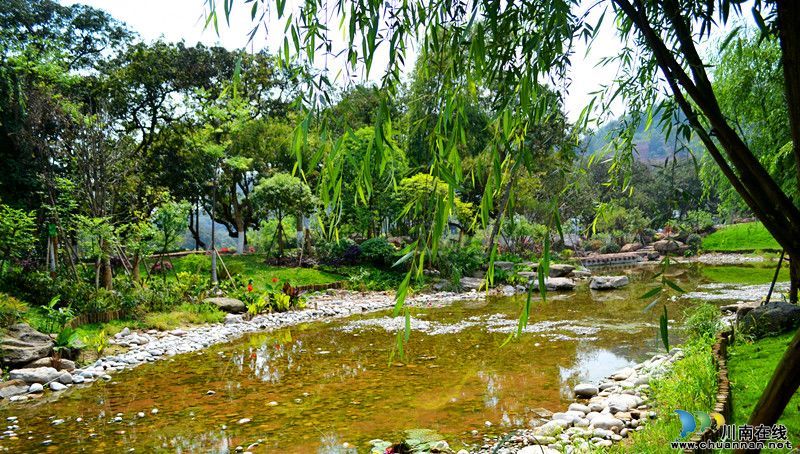 泸州张坝桂圆林旅游区5月1日开放&nbsp;景点抢先看(图2)