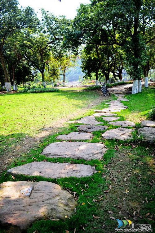 泸州张坝桂圆林旅游区5月1日开放&nbsp;景点抢先看(图5)