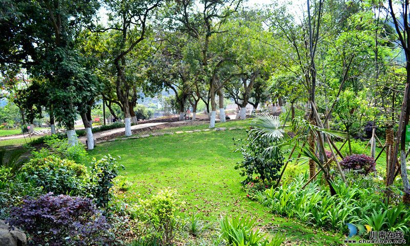 泸州张坝桂圆林旅游区5月1日开放&nbsp;景点抢先看(图8)