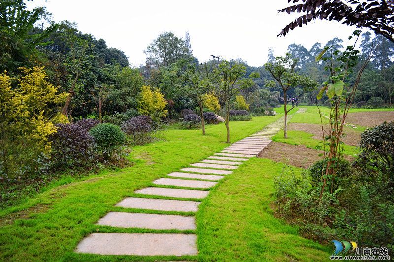 泸州张坝桂圆林旅游区5月1日开放&nbsp;景点抢先看(图7)