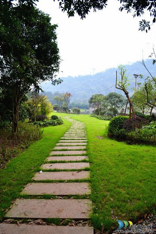 泸州张坝桂圆林旅游区5月1日开放&nbsp;景点抢先看(图4)