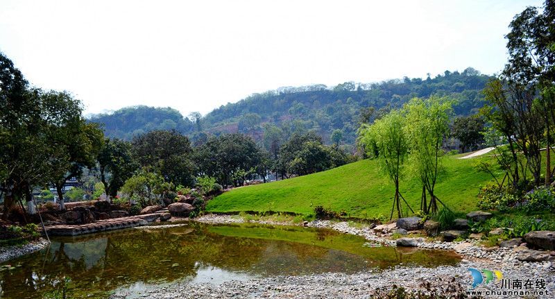 泸州张坝桂圆林旅游区5月1日开放&nbsp;景点抢先看(图9)