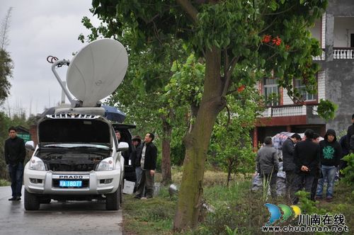 四川电视台现场直播泸县抢栽水稻情况(图2)