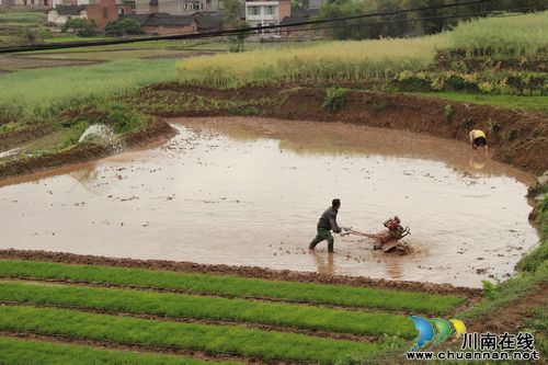 方洞镇：农机闹春耕(图2)