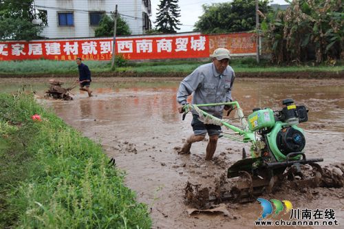 方洞镇：农机闹春耕(图1)
