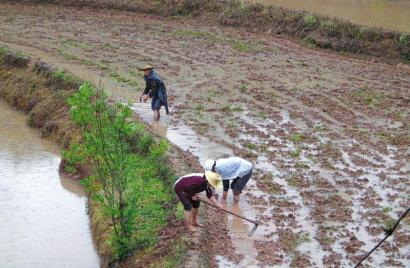 清明节人工降雨&nbsp;解自贡两县旱情(图1)
