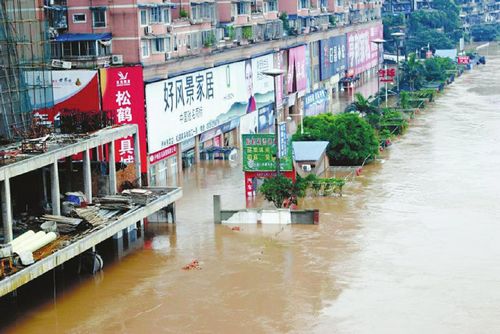 泸州：临江住宅电梯不得低于安全警戒水位(图1)