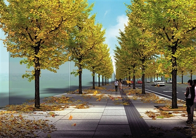 解码内江“最美大道”(图3)