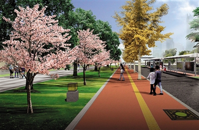 解码内江“最美大道”(图2)