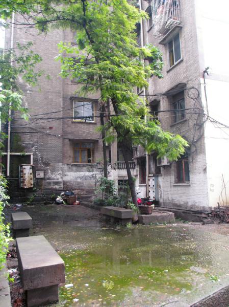 居民楼污水横流 社区开会帮解决(图1) 居民楼污水横流 社区开会帮解决(图1)