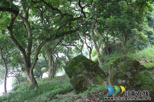 美景如画 泸州张坝(图3) 美景如画 泸州张坝(图3)