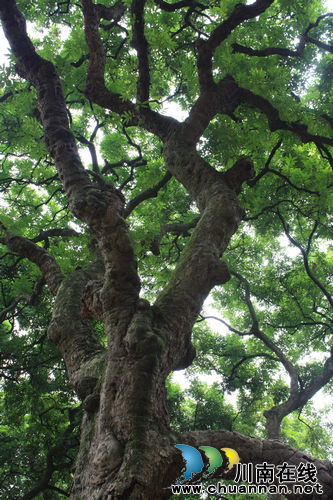 美景如画 泸州张坝(图5) 美景如画 泸州张坝(图5)