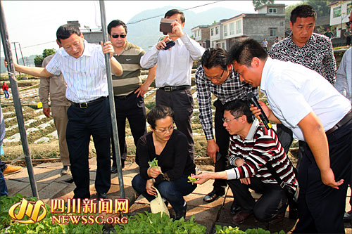 宜宾再投1.2亿强化基建&nbsp;全力推动烟业转型提升(图4)