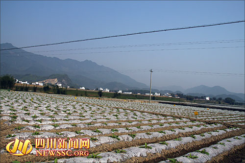 宜宾再投1.2亿强化基建&nbsp;全力推动烟业转型提升(图5)