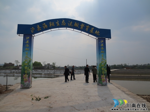 方洞镇：特色水产养殖引领致富路