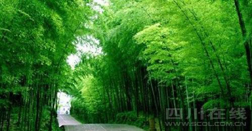 宜宾各大旅游景区依然安全 五一笑脸迎客(图2) 宜宾各大旅游景区依然安全 五一笑脸迎客(图2)