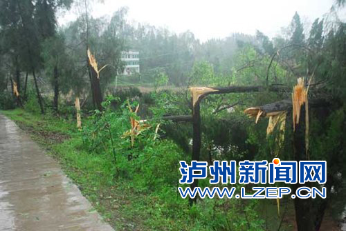 大风过境泸州多乡镇受灾 致2死3伤(图1) 大风过境泸州多乡镇受灾 致2死3伤(图1)