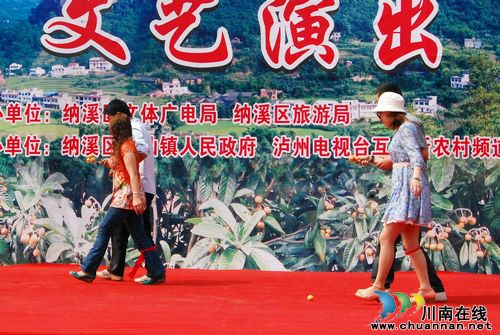 泸州纳溪:天仙枇杷初上市&nbsp;品尝"金果"正当时(图7)