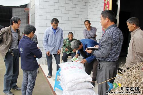 通滩镇：甜橙疏果施肥&nbsp;力保质优丰产(图2)
