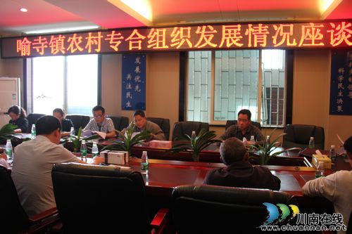 泸县政协副主席陈文彬一行到喻寺镇调研(图2)