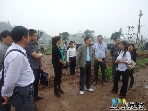 泸县政协副主席陈文彬一行到喻寺镇调研(图1)